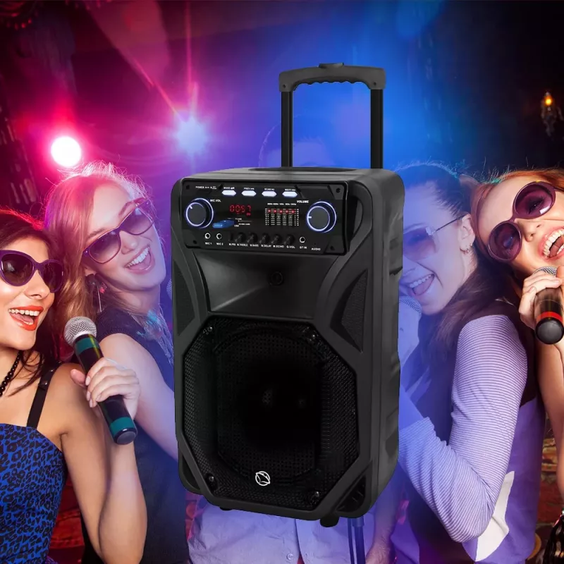 Nešiojamas karaokės garsiakalbis MANTA SPK5021PRO 20W, 12 colių žemų dažnių garsiakalbis, 80W RMS, Bluetooth, baterija iki 5 val., SD/USB, mikrofono ir gitaros įvestys
