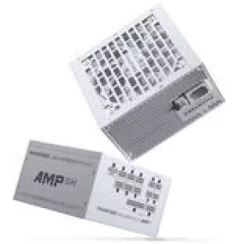 Phanteks AMP GH V2 1000W 80 PLUS Platinum maitinimo šaltinis PCIe 5.1 ATX 3.1 - 1000 W (PH-P1000GH_WT02_EU)