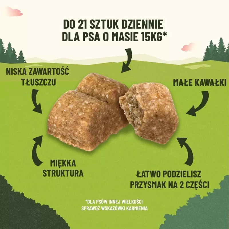 PURINA Adventuros Training salmon - šunų skanėstas - 40g