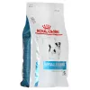 Sausas šunų maistas Royal Canin Hypoallergenic Small Breed 3,5 kg — suaugę maži šunys, baltymai 24%, riebalai 16%