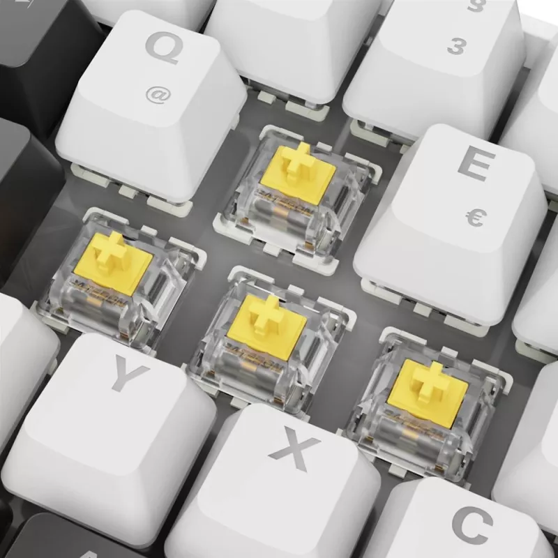 Sharkoon SGK50 S4 klaviatūra Namų USB QWERTZ Vokiečių Balta RGB LED 60%
