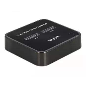 DeLOCK 64178 doko stotelė USB 3.2 Gen 2 Type-C SSD M.2