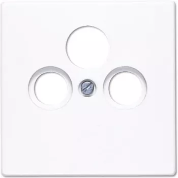 JUNG LS 990 SAT WW sieninio jungiklio rėmelis – minimalistinės serijos rėmelis moduliniams elektros jungikliams