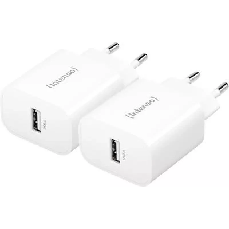 Intenso maitinimo adapteris W5A Doppelpack (7800522)
