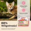 INABA Churu rinkinys Tunas – kačių skanėstai – 60 x 14 g