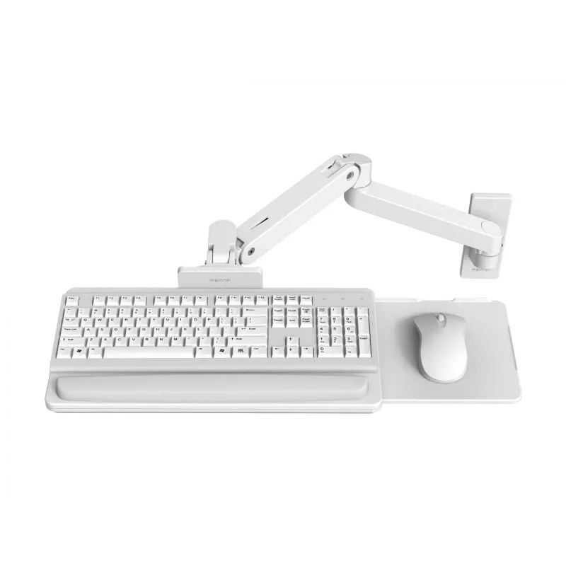 Ergotron LX Pro - Klaviatūros / pelės padėklas su atraminės rankenos laikikliu (45-685-290)