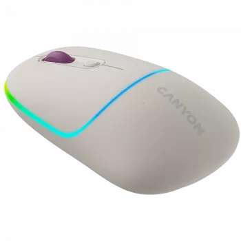 CANYON pelė MW-22 2-in-1 BT/Wireless Rice