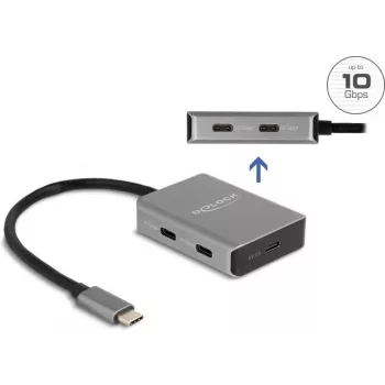 USB Type-C Hub DeLOCK 64249 10000 Mbit/s Juoda Pilka