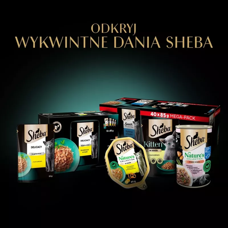 SHEBA Sauce Collection Fish flavors collection - šlapias kačių maistas - 40x85 g