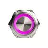 Vandalams atsparus mygtukinis jungiklis DimasTech PD197 25mm Sidabrinėline Ring