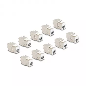 DeLOCK 88119 keystone modulis Plokščias Baltas RJ-45 10 vnt.