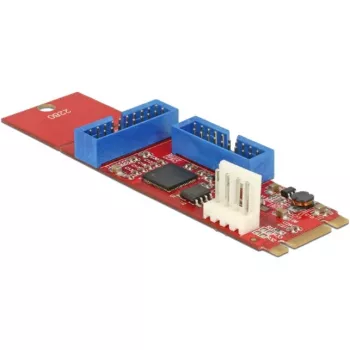 Delock keitiklis M.2 Key B+M kištukas > 2 x USB3.0 kištukinis lizdas - USB adapteris - M.2 kortelė - USB3.0 (vidinis) x 2 (62843)