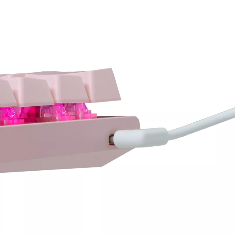 Mechaninė žaidimų klaviatūra White Shark Wakizashi GK-002421V2 Pink US-Blue išdėstymas