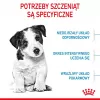 Sausas šunų maistas Royal Canin Mini Puppy 2 kg – mažos veislės, vištiena, 31 % baltymų