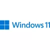 Microsoft Windows 11 Pro 64-bit ispanų k. (FQC-10552)