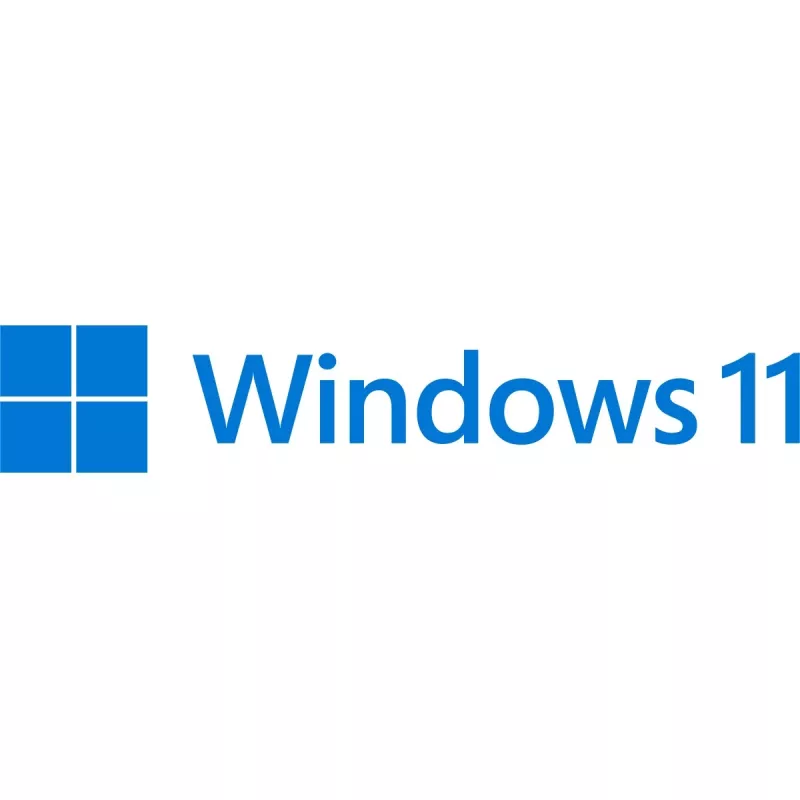 Microsoft Windows 11 Pro 64-bit ispanų k. (FQC-10552)