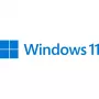 Microsoft Windows 11 Pro 64-bit ispanų k. (FQC-10552)