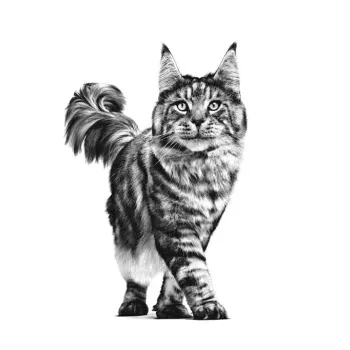 ROYAL CANIN Cat Gastrointestinal VHN – sausas kačių ėdalas – 400g