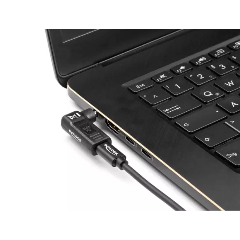 DeLOCK adapteris USB Type-C lizdas į HP 4,8 x 1,7 mm kištuką 90° kampu