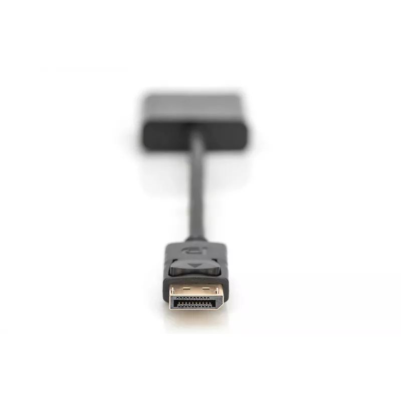 Digitus DisplayPort adapteris / keitiklis