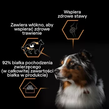 PURINA Pro Plan Everyday nutrition All size Adult Turkey in jelly - šlapias šunų maistas - 400g
