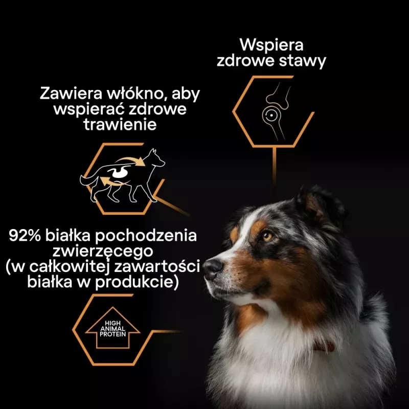 PURINA Pro Plan Everyday nutrition All size Adult Turkey in jelly - šlapias šunų maistas - 400g