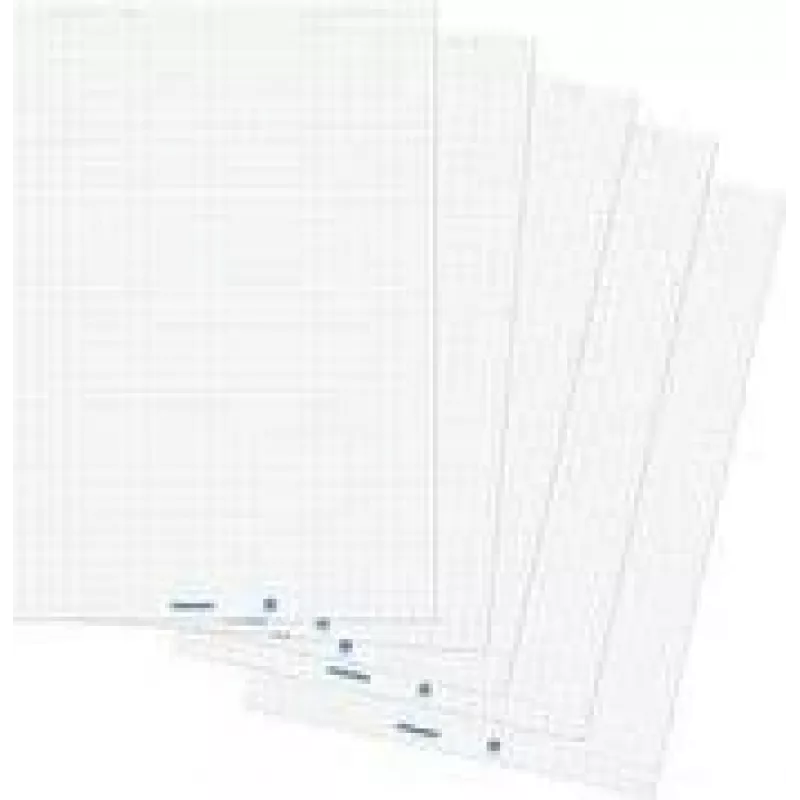 Flipchart popierius Franken ZUF2180 tinklelis 68 x 99 cm 20 lapų bloknote, 5 bloknotai