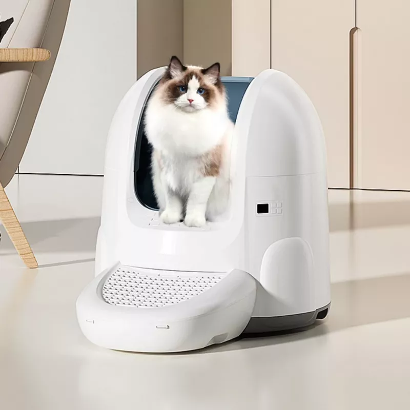 Savaime išsivalanti kačių kraiko dėžė „Sponge Pet Litter Box“, gamintojas „Sponge“ SPETLB00001