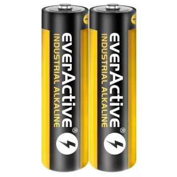 Vienkartinė šarminė baterija everActive EVLR6S2IK AA 1,5 V — pakuotė po 40 vnt.