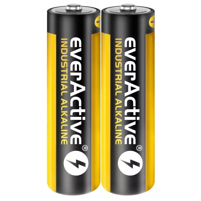 Vienkartinė šarminė baterija everActive EVLR6S2IK AA 1,5 V — pakuotė po 40 vnt.