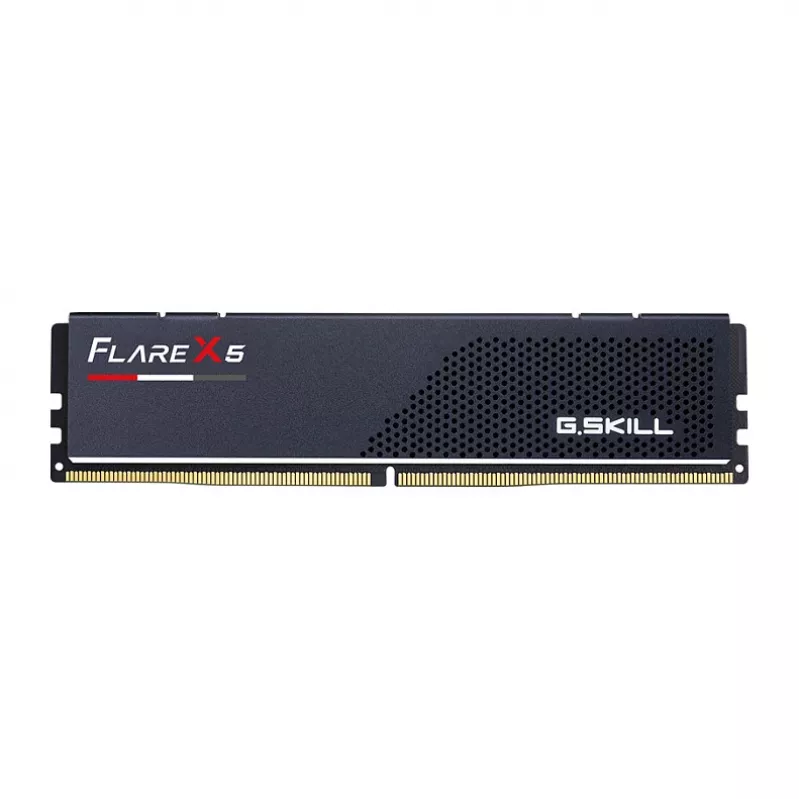 DIMM 16 GB DDR5-6000, atmintis juoda, F5-6000J3038F16GH1-FX5, Flare X5