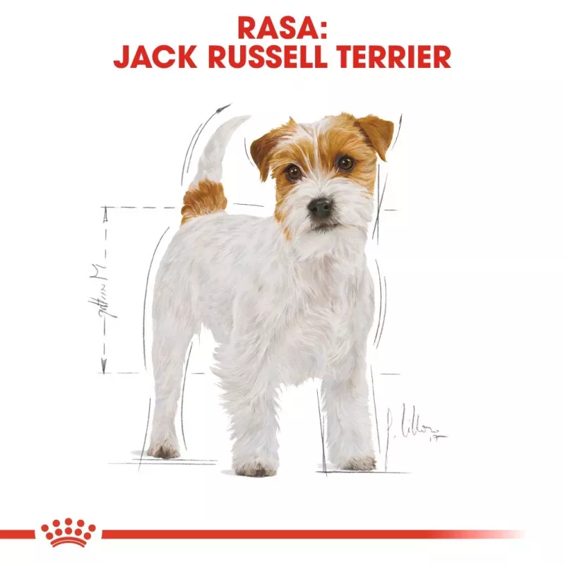 ROYAL CANIN Jack Russell Adult sausas šunų ėdalas - 1.5 kg