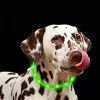 LED antkaklis Anicoll Green šunims ir katėms Model 9997790759014, įkraunamas apšvietimas