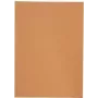 Elba 100091654 segtuvas kartoninis oranžinis A4 (100091654)