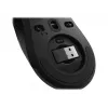 Lenovo Legion M600 belaidis žaidimų pelė abiem rankoms tinkama RF belaidė + Bluetooth + USB Type-A optinė 16000 DPI