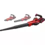 Belaidis lapų pūstuvas EINHELL GE-UB 18/250 Li su 1x4,0 Ah baterija, 18 V