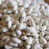 Sėklų pakelis Seklos LT PNOS — sausos pupelės 'Igłomska' sėklos, 50 g