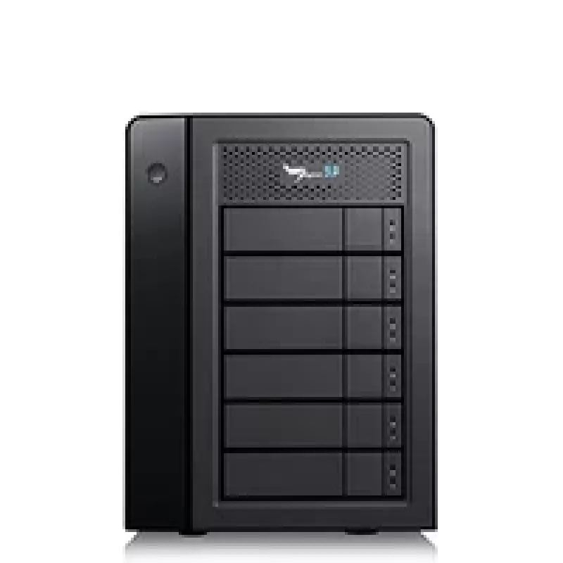 HDD Promise Technology 24 TB bokštinis juodas Pegasus32 R6