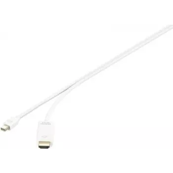 Renkforce RF-3697532 - 0,5 m - Mini DisplayPort - HDMI - Patinas - Patinas - tiesus