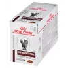 Šlapias kačių maistas Royal Canin Gastrointestinal Moderate Calorie 12 x 85 g maišeliai, suaugusioms katėms, mėsos skonio, 82,2 % drėgmės