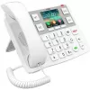 IP telefonas Fanvil X305, baltas