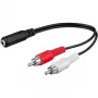 Wentronic Goobay 3,5 mm lizdo/RCA adapterio kabelis, juodas, 0,2 m - 3,5 mm lizdas (3 kontaktų, stereofoninis) > 2x RCA kištukas (garso kairysis/dešinysis) (50092)