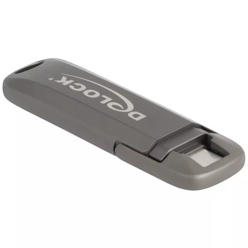 USB atmintukas DeLOCK 54012 256 GB USB Type-C pilka
