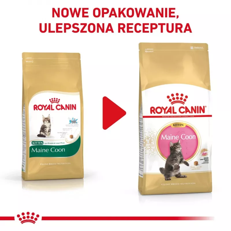 Sausas kačių maistas Royal Canin Maine Coon Kitten 2 kg — paukštiena, baltymai 36%, riebalai 23%