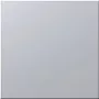Siedle BM 611-0 SM - Aufspannplatte - Sidabrinė - Siedle - 99 mm - 26 mm - 99 mm (200016941-01)