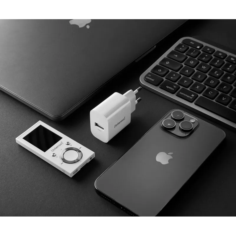 USB-A adapteris Intenso 7800512