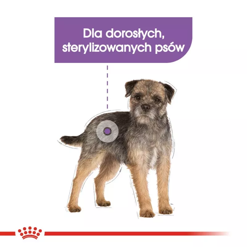 Sausas šunų maistas Royal Canin Mini Sterilised Care — 3 kg, vištiena, sterilizuotoms mažų veislių šunims (5–10 kg), suaugusiems, 30% baltymų