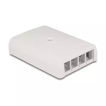 DeLOCK 67053 Keystone paviršinio montavimo dėžutė, 4 prievadų, balta