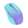 Belaidė pelė Tellur Silent Click TLL491331 USB