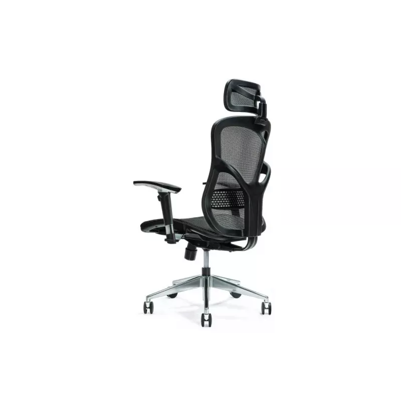 Ergonominė biuro kėdė ERGO 500 juodas